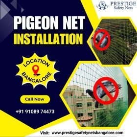 Pigeon-Safety-Nets-in-Bangalore