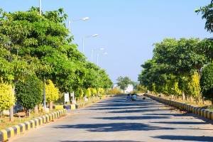 greencity2