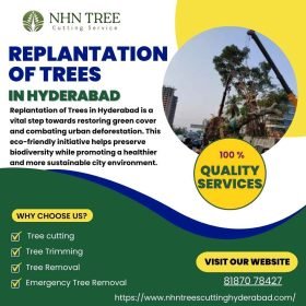 Replantation-of-Trees-In-Hyderabad-3-1